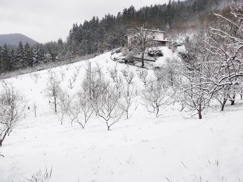 فندق Casa Rural Madariaga Artea المظهر الخارجي الصورة